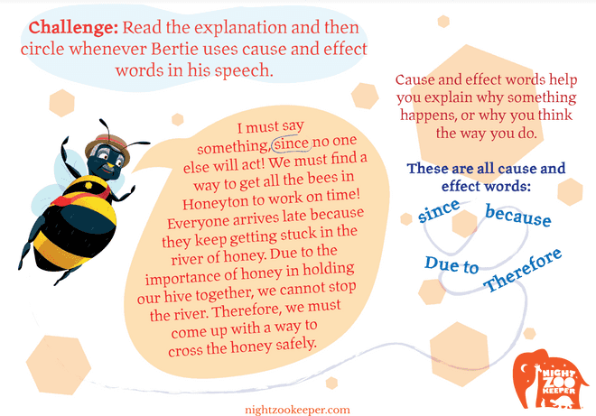 Cause And Effect Words Night Zookeeper